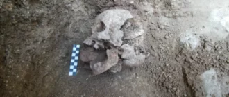 El miedo a los cadáveres reanimados podría explicar los misteriosos enterramientos en un cementerio de 1.600 años de antigüedad